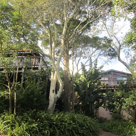 Treehouse Cottage The Crags Exterior foto